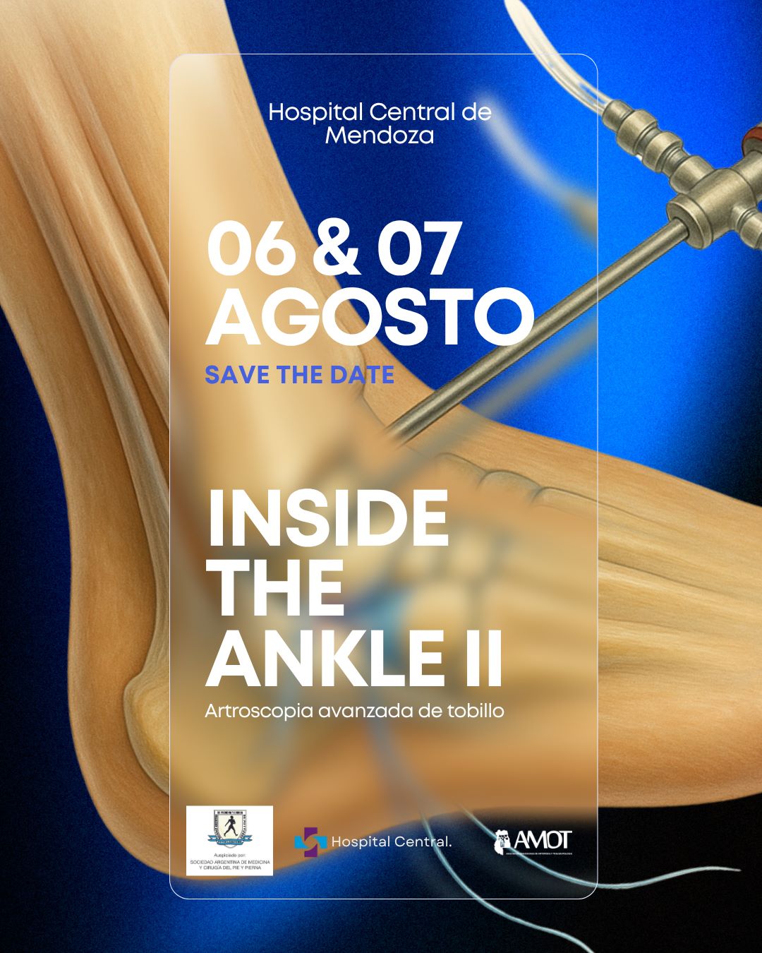 Curso de cirugia artroscopica avanzada
